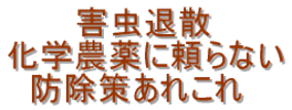QގU w_ɗȂ h􂠂ꂱ