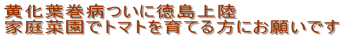 taɓ㗤 ƒ؉Ńg}gĂɂ肢ł 