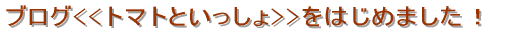 uO<<g}gƂ>>͂߂܂I 