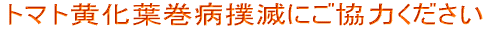 g}gtaołɂ͂ 