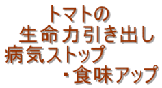 g}g͈̐o aCXgbvEHAbv